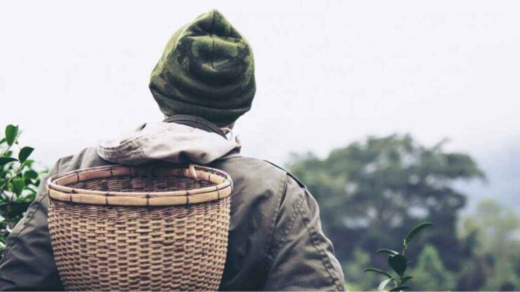 Motivos para Não Aceitar Trabalho Clandestino